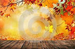 Wooden table with orange fall  leaves