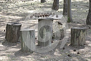 Wooden table with pine cones and chairs made of logs outdoors. Empty city park. A place to rest among old pine trees