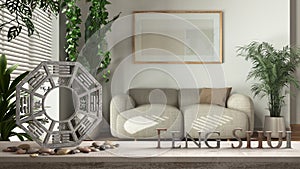 Wooden table shelf with ba gua, pebble stone and bamboo plants, over minimal white living room with fabric sofa and houseplants,