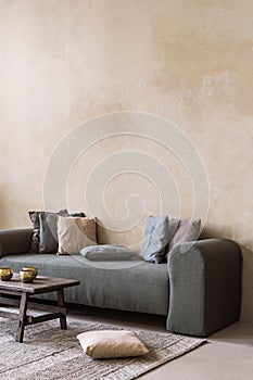 Wooden table and sofa with cushions stand in living room