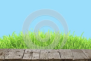 Wooden table and spring grass background