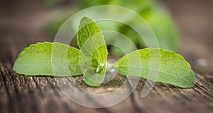 Wooden table with Stevia leaves (selective focus)