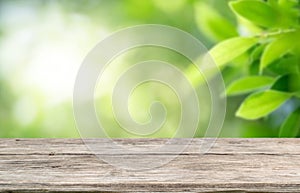 Wooden table top on blur green forest or garden with ray light and tree shadow.Fresh and Relax concept.perspective view.For