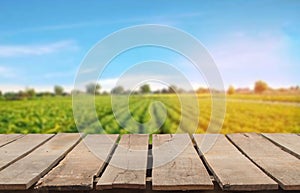 Wooden table top on blur green leaf vegetable field background in daytime.Harvest rice or whole wheat.For montage product display