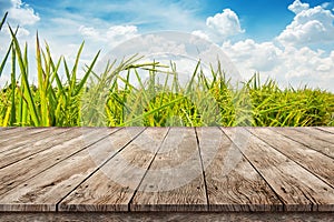 Wooden table top montage photo with paddy rice plantation against blue sky with soft clouds , product Display background concept