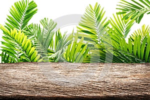 Wooden table top with spring green leafs free space for text Product display background concept