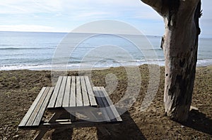 Wooden table and tree in beach