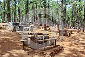 Wooden tables and stone grills for picnic and barbecue Canarian Pine forest, Esperanza, Tenerife