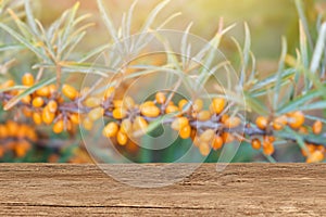 Wooden tabletop for product placement with a blury sea buckthorn background. Place for displaying product mockups