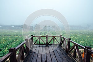 Wooden terrace overlooking the potato field. Morning fog over the field