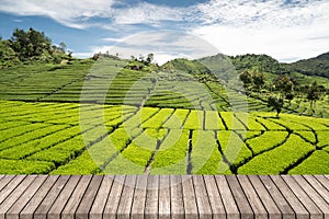 Wooden terrace walkway with green tea garden background