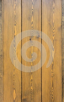 Wooden texture