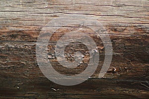 Wooden texture or background, horizontal view