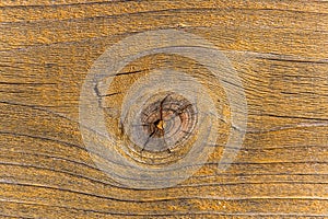 Wooden texture closeup