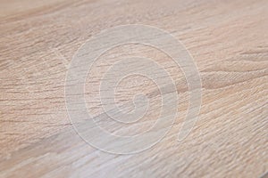 Wooden texture with natural light wood pattern