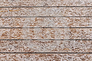 Wooden texture, natural wood pattern