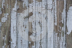Wooden texture with old paint. The texture of the tree is colored. Old wooden boards with irradiated paint. Natural wood texture