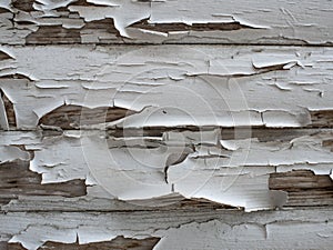 Wooden texture with old white paint. white wood planks background