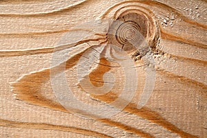Wooden texture-pinewood photo