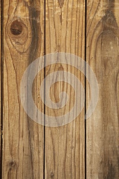 Wooden texture of a plank