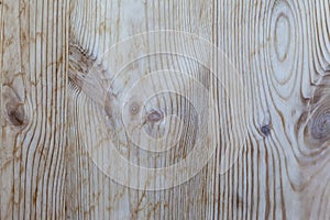 Wooden texture with veinlets and knots close up.