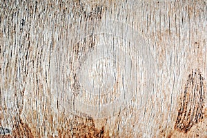 Wooden textured background