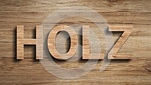 Wooden textured 3d german word wood