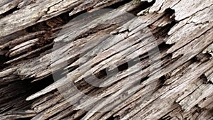 Wooden Textures