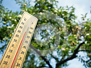 Wooden thermometer with red measuring liquid showing high temperature over 36 degrees Celsius on sunny day