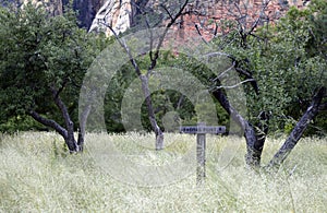 Wooden Thomas Point Sign at the West Fork Trail in Oak Creek, AZ