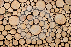 Di legno piastrelle 