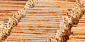 Wooden timber logs photo