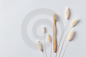 Wooden toothbrush and grass ears