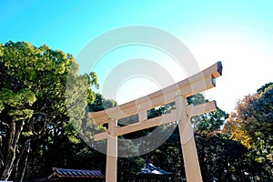 Wooden torii gate of Meiji Jingu Shrine in Harajuku Central Tokyo, Japan.