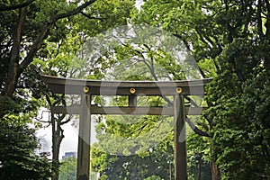Wooden Torii is the traditional Japanese gate at Shinto Shrine, Meiji-jingu.
