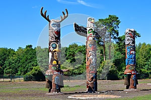 Wooden totem poles