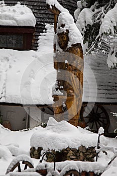 Wooden totem representing a Dacian