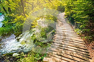 Wooden tourist path at forest, Plitvice national park, Croatia. Fresh and beautiful nature, soft light