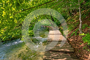 Wooden tourist path at forest, Plitvice national park, Croatia. Fresh and beautiful nature, soft light