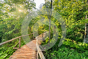 Wooden tourist path at Plitvice lakes. Deep forest, soft light