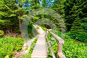 Wooden tourist path trail in the green forest in Slovakia national park Mala Fatra - Janosikove Diery