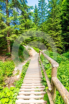 Dřevěná turistická stezka v zeleném lese na Slovensku v národním parku Malá Fatra - Jánošíkove Diery