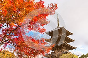 The wooden tower of To-ji Temple, Kyoto, Japan .Toji Pagoda during the fall season..Autumn scenery of the To-ji temple and reflect