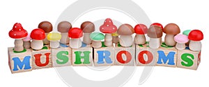 Wooden toy cubes with letters. Mushrooms concept