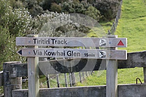 Wooden track pointer at Shakespear Regional Park, New Zealand