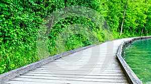 Wooden trail by lake