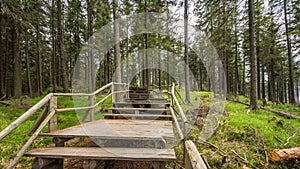 Wooden trail leading through the Boubin forest in Sumava