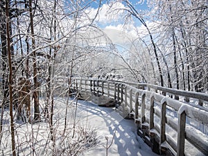 Wooden trail path in a Beautiful landscape in Ice