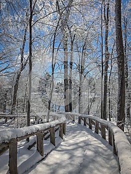 Wooden trail path in a Beautiful landscape in Ice