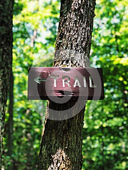 A wooden trail route marker  in the woods